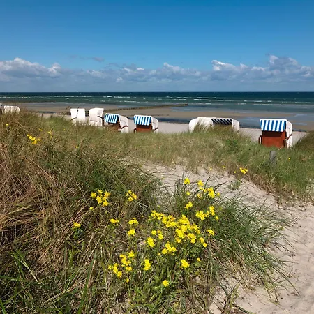 Apartment Ostsee Residenz Meeresblick Seemöwe Poel