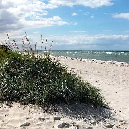 Ostsee Residenz Meeresblick Seemoewe