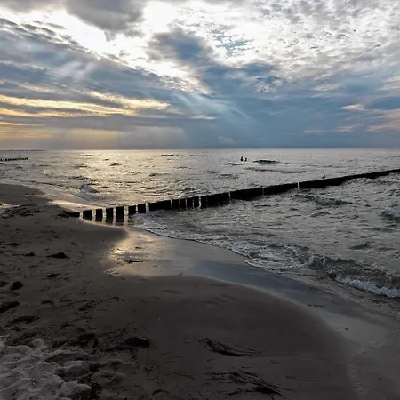 Ostsee Residenz Meeresblick Seemöwe Apartment