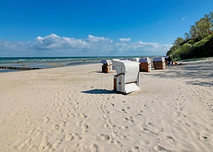 Ostsee Residenz Meeresblick Seemoewe Daire *