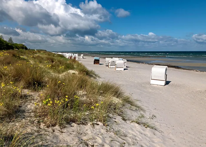 Daire Ostsee Residenz Meeresblick Seemoewe *