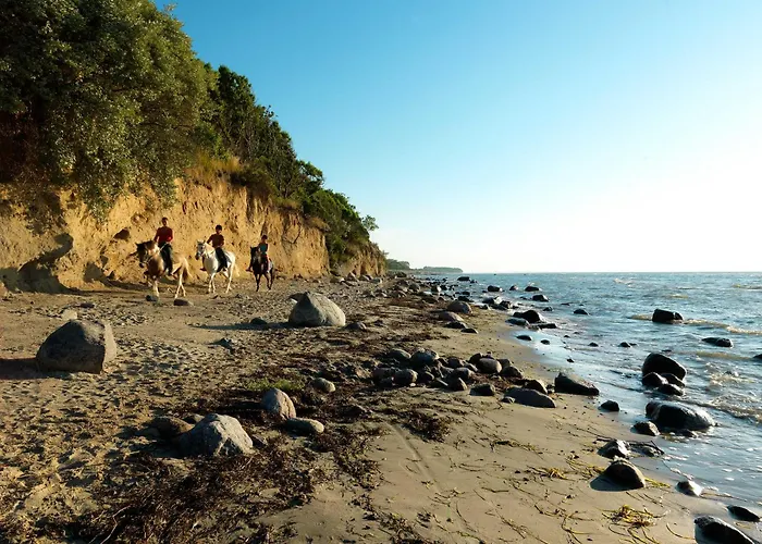 Ostsee Residenz Meeresblick Seemoewe Daire Insel Poel
