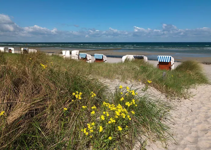 Daire Ostsee Residenz Meeresblick Seemoewe Insel Poel