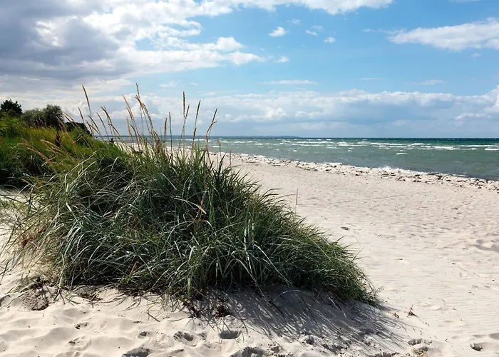 Ostsee Residenz Meeresblick Seemoewe