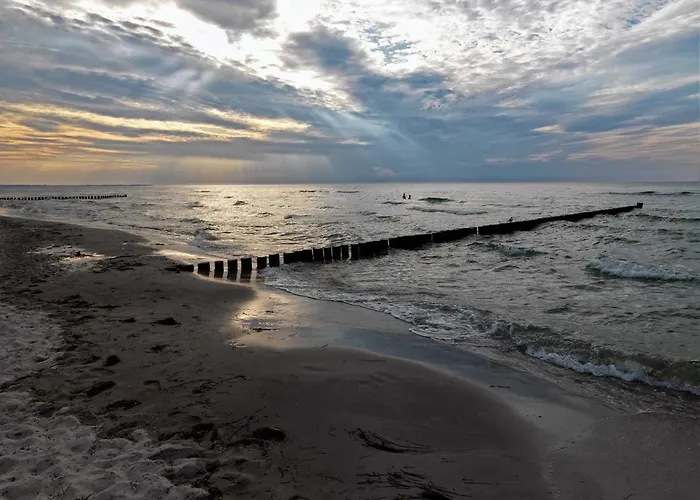 Ostsee Residenz Meeresblick Seemoewe Daire