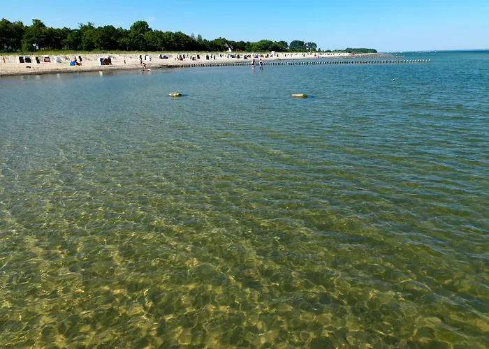 Ostsee Residenz Meeresblick Seemoewe Daire *