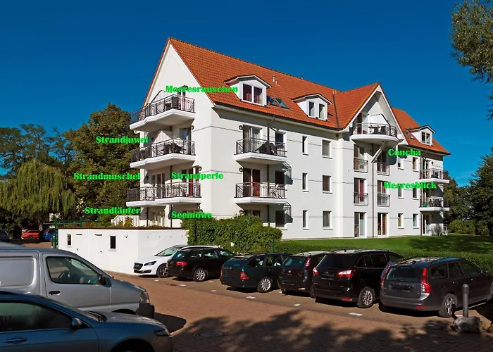Ostsee Residenz Meeresblick Seemoewe * Insel Poel
