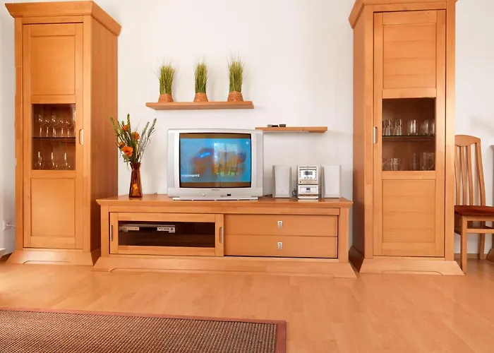 Ostsee Residenz Meeresblick Seemoewe Daire