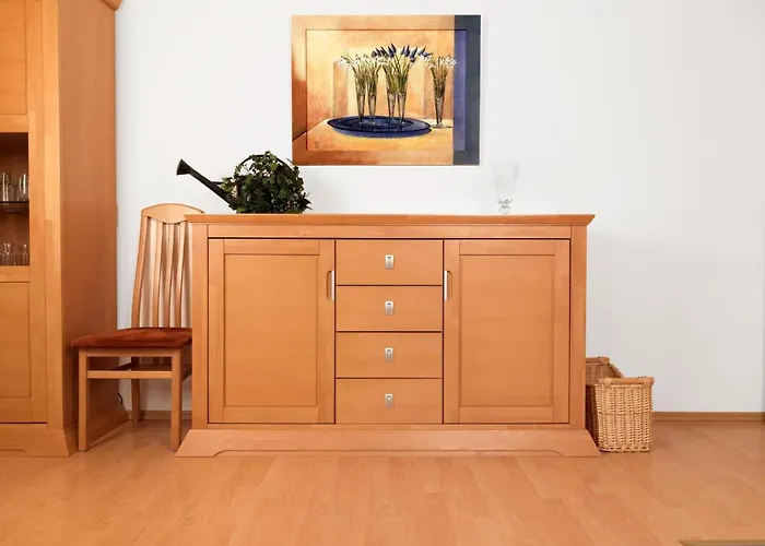 Ostsee Residenz Meeresblick Seemoewe Daire