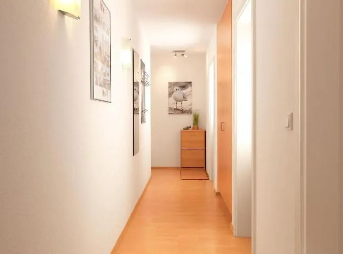 Ostsee Residenz Meeresblick Seemoewe Daire Insel Poel